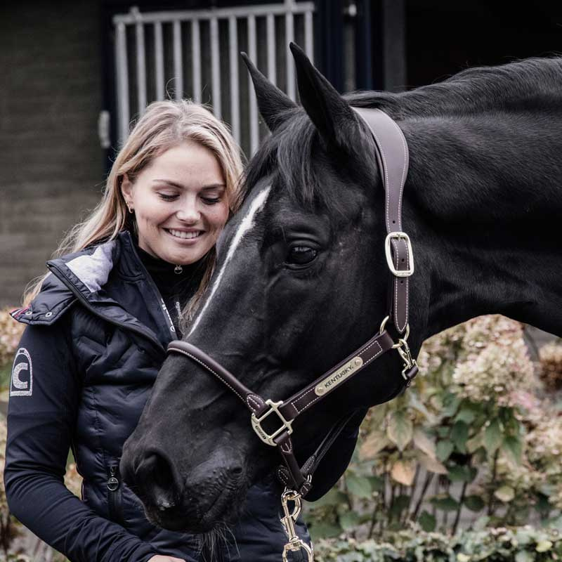 Anatomisches Kunstlederhalfter Braun