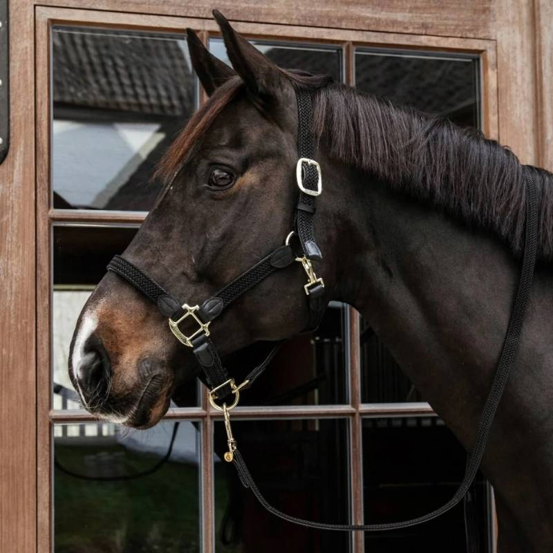 Geflochtenes Nylonhalfter Schwarz