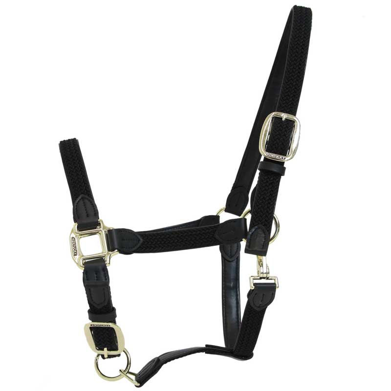 Geflochtenes Nylonhalfter Schwarz