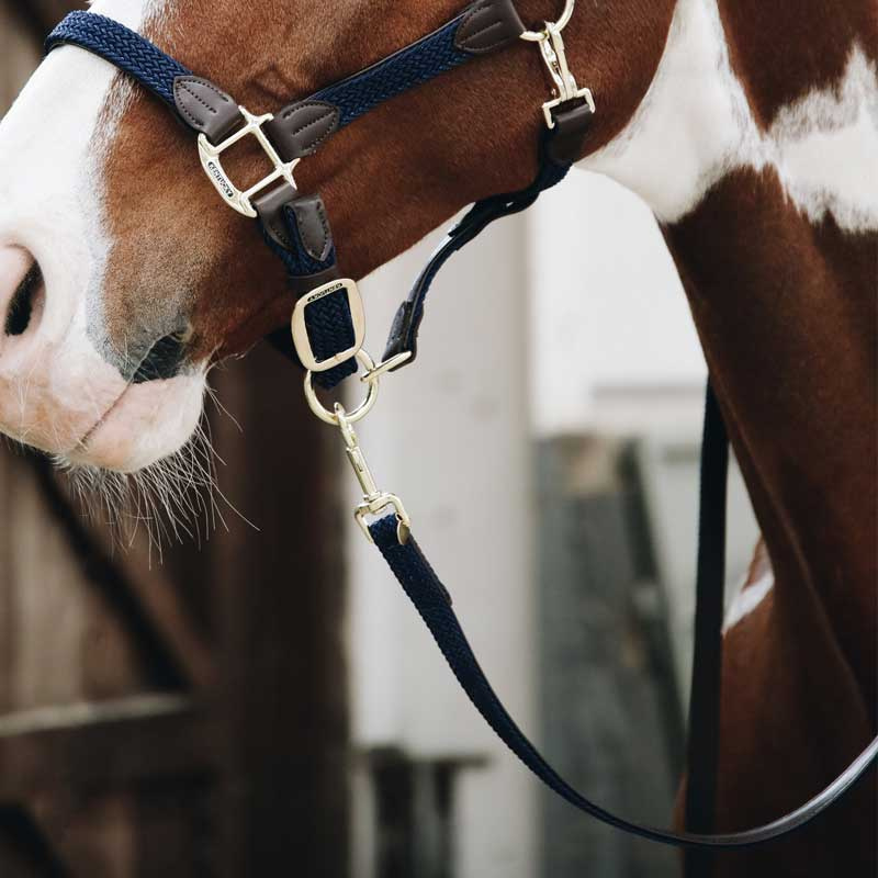 Führstricke Geflochtenes Nylon Marineblau