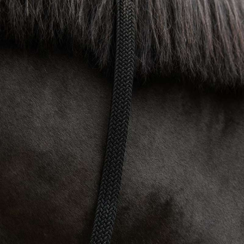 Führstrick Plaited Nylon Schwarz