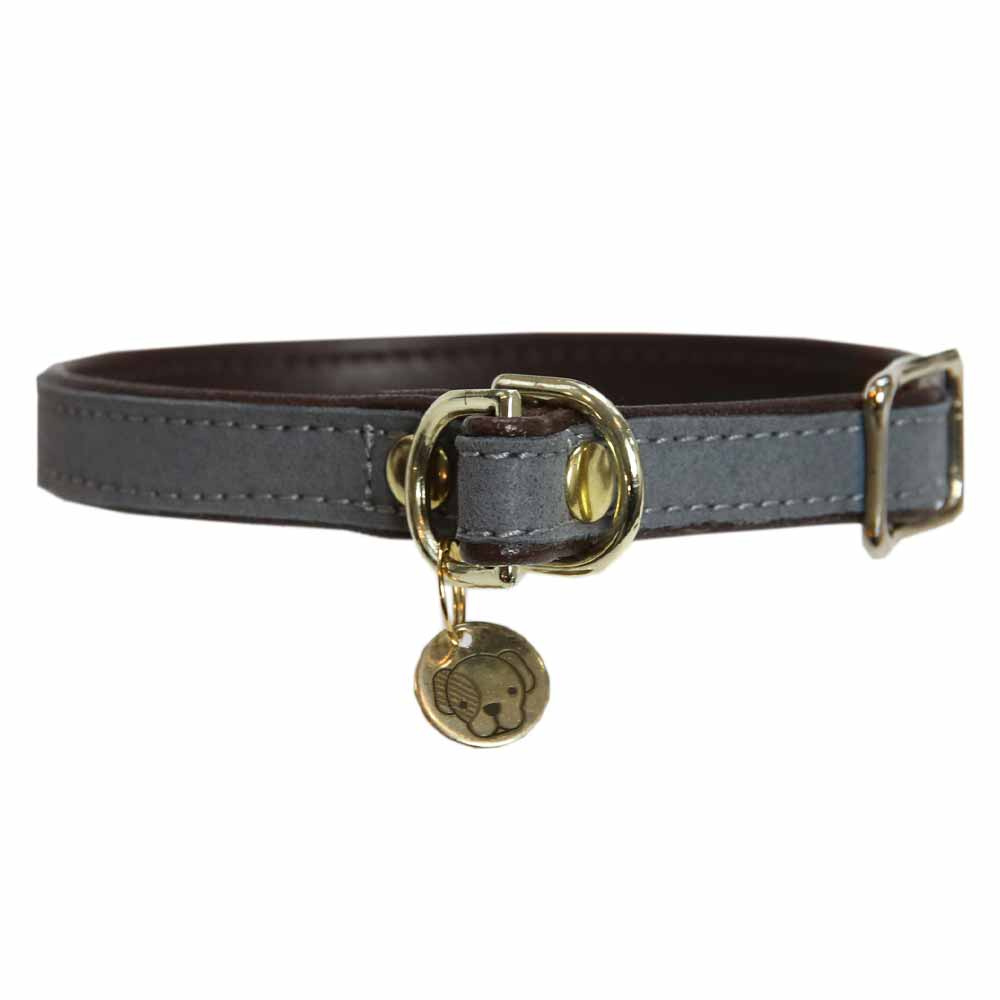 Hundehalsband Loop Grau