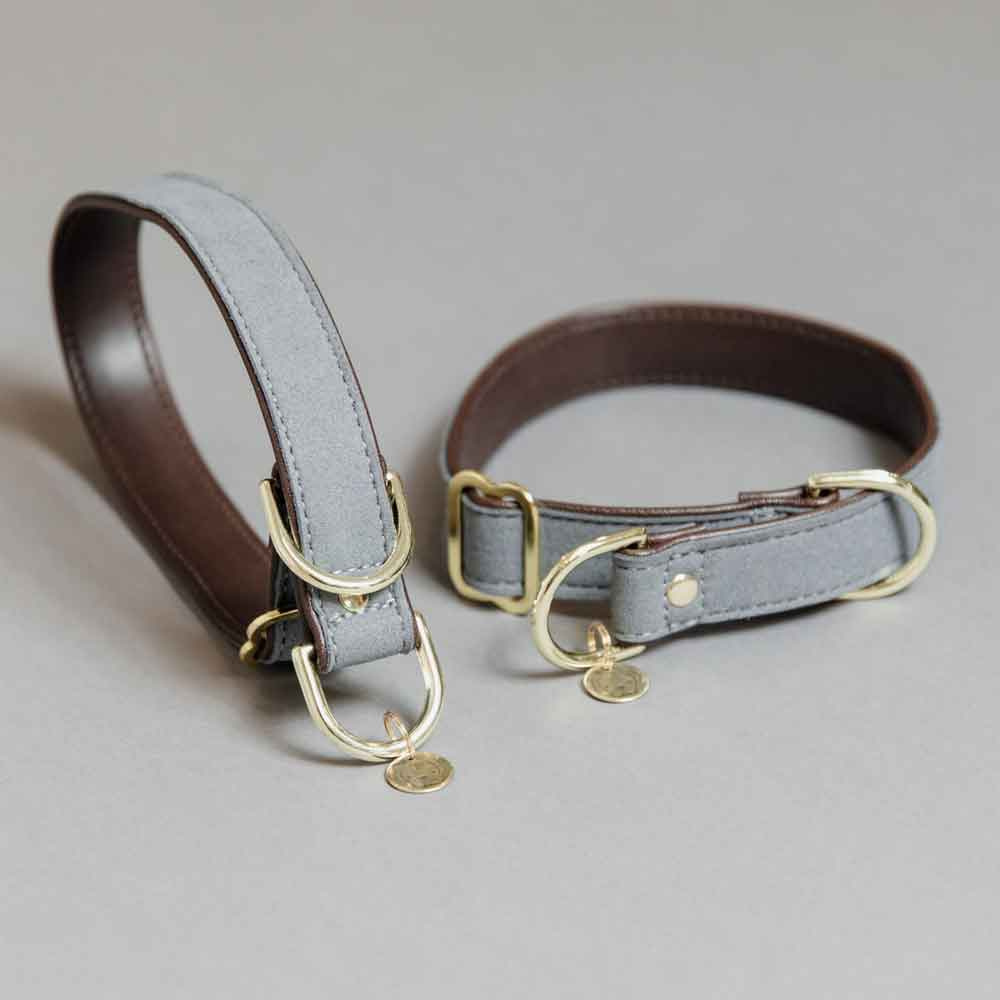 Hundehalsband Loop Grau