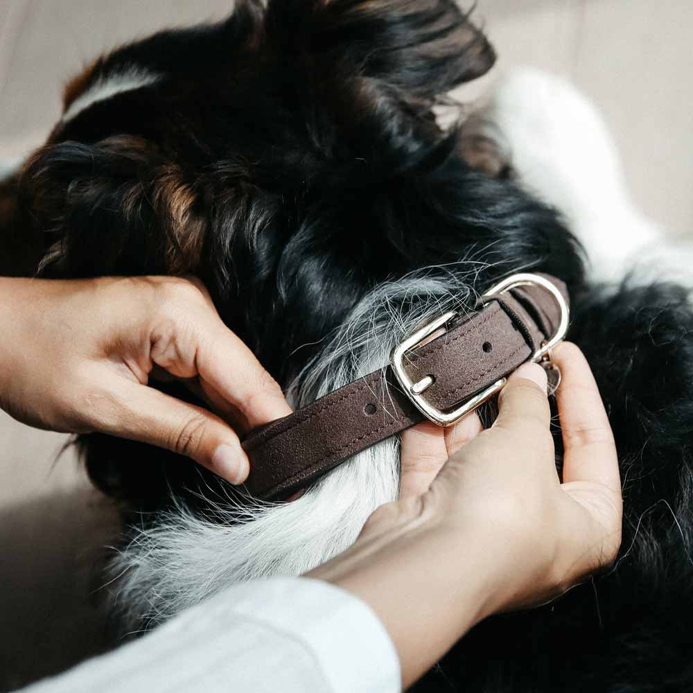 Hundehalsband Velvet Leder Braun