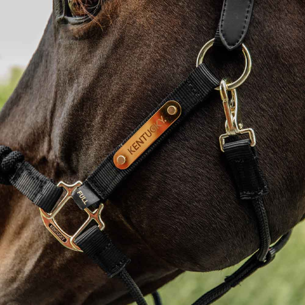 Halfter Control Nylon Rope Schwarz