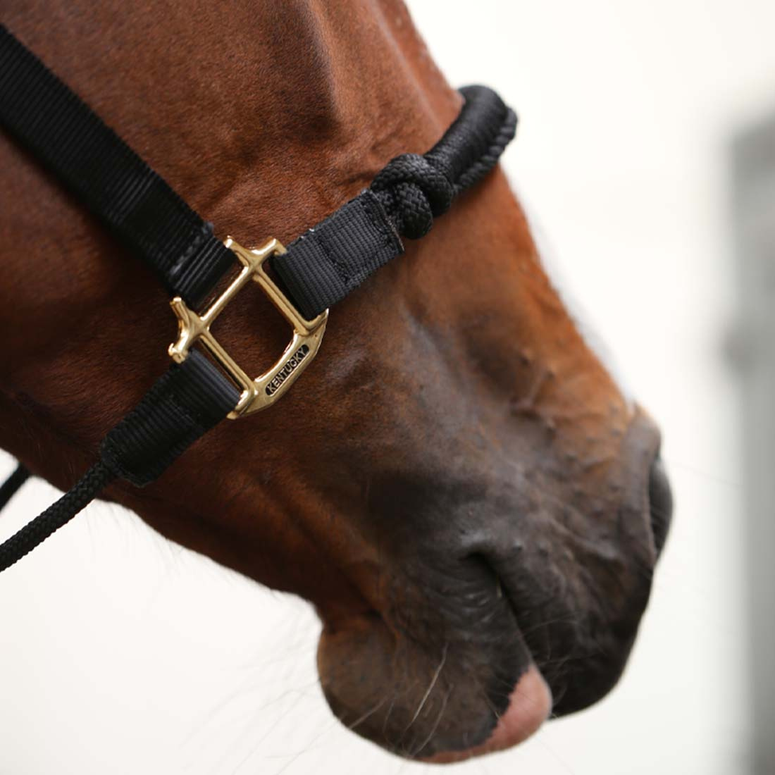 Halfter Control Nylon Rope Schwarz