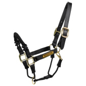 Halfter Control Nylon Rope Schwarz Halfter Control Nylon Rope Schwarz