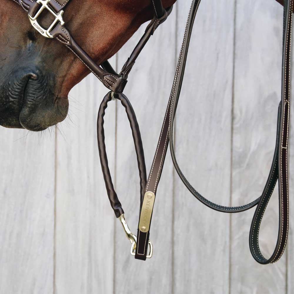 Lederummantelte Kettengurt Braun