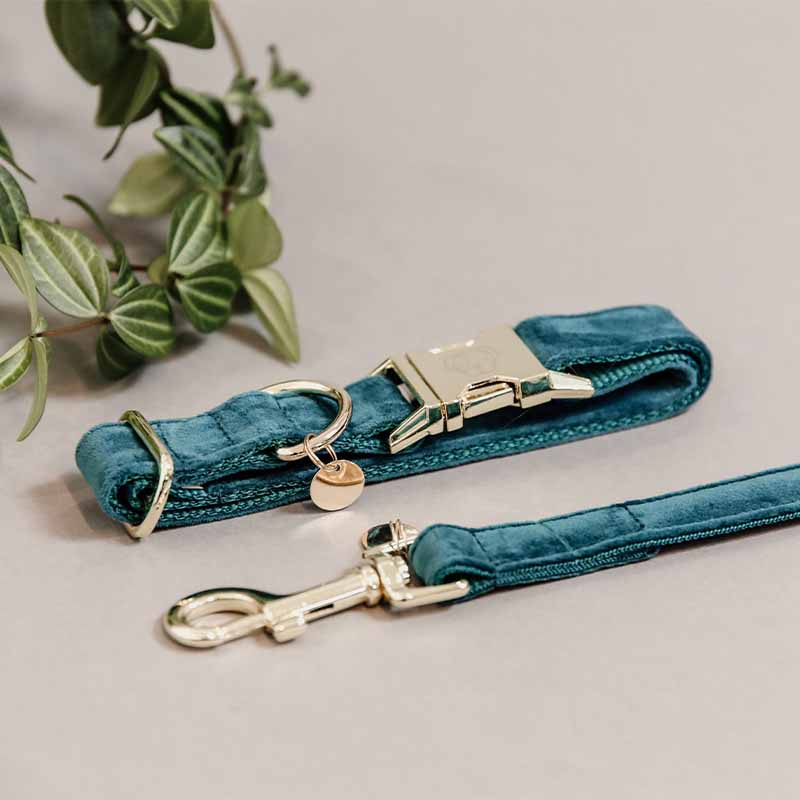 Hundehalsband Velvet Smaragdgrün
