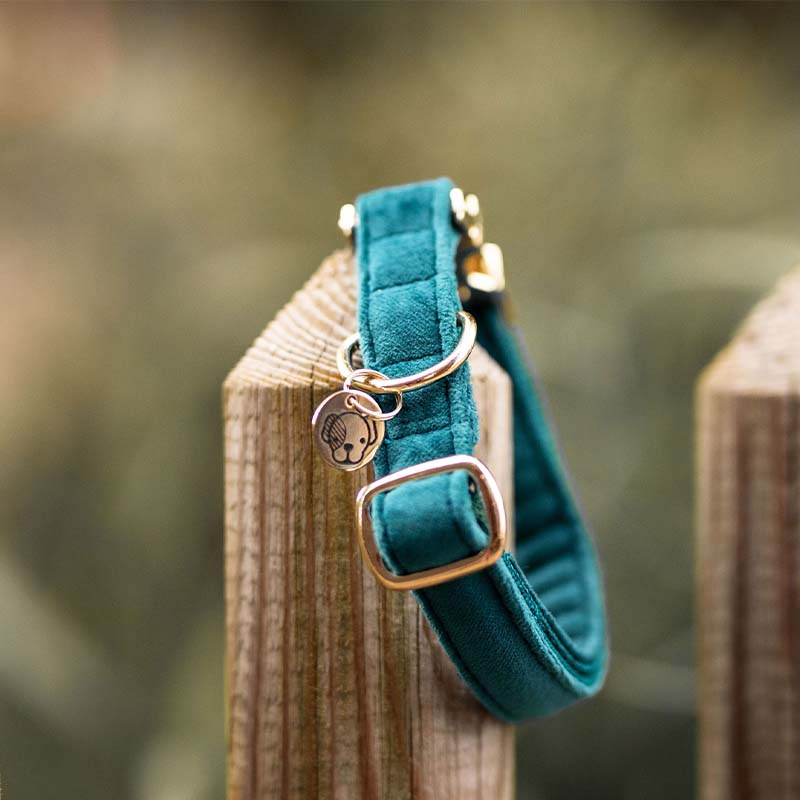 Hundehalsband Velvet Smaragdgrün
