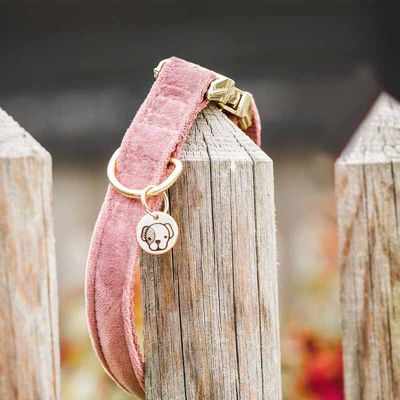 Hundehalsband Velvet Altrosa