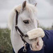 Lederhalfter Pony Artificial Sheepskin Braun Lederhalfter Pony Artificial Sheepskin Braun