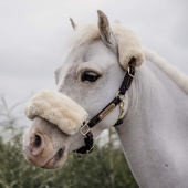 Lederhalfter Pony Artificial Sheepskin Braun Lederhalfter Pony Artificial Sheepskin Braun
