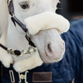 Lederhalfter Pony Artificial Sheepskin Braun Lederhalfter Pony Artificial Sheepskin Braun