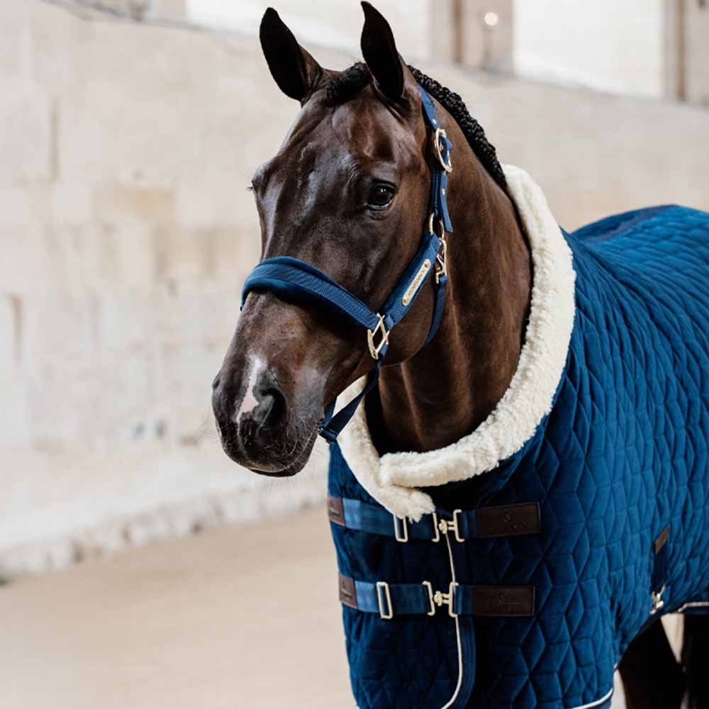 Halfter Velvet Marineblau