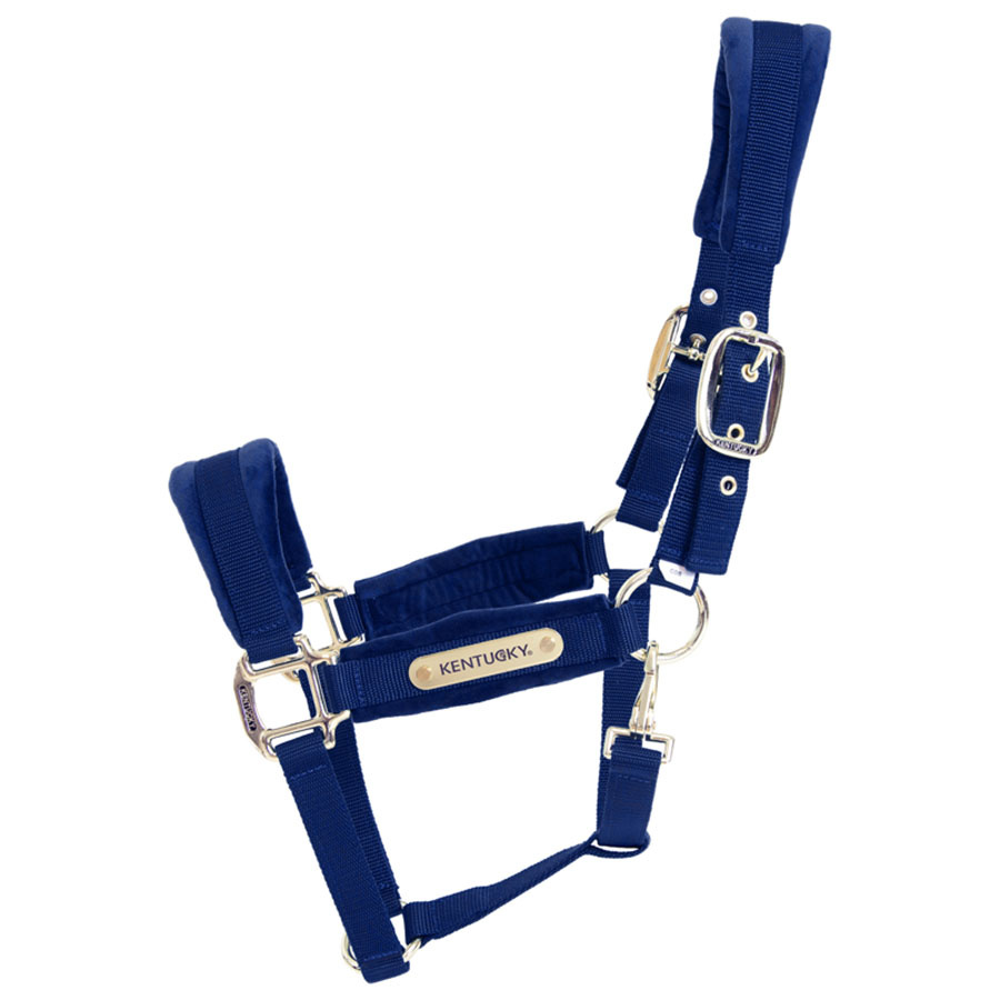 Halfter Velvet Marineblau