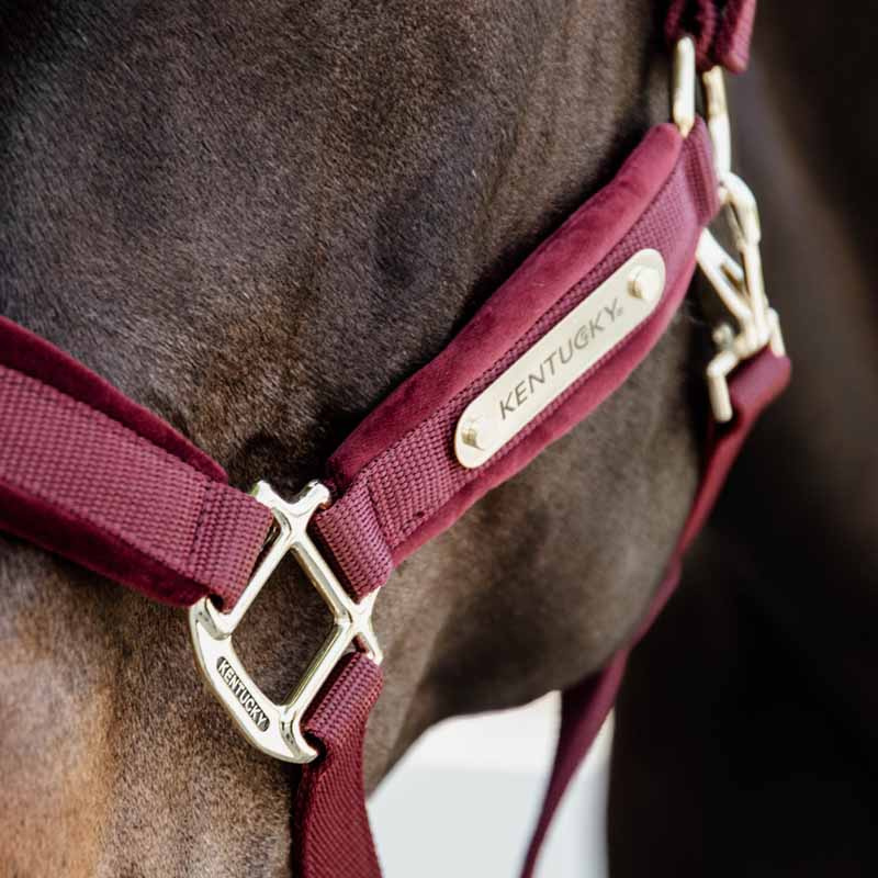Halfter Velvet Bordeaux
