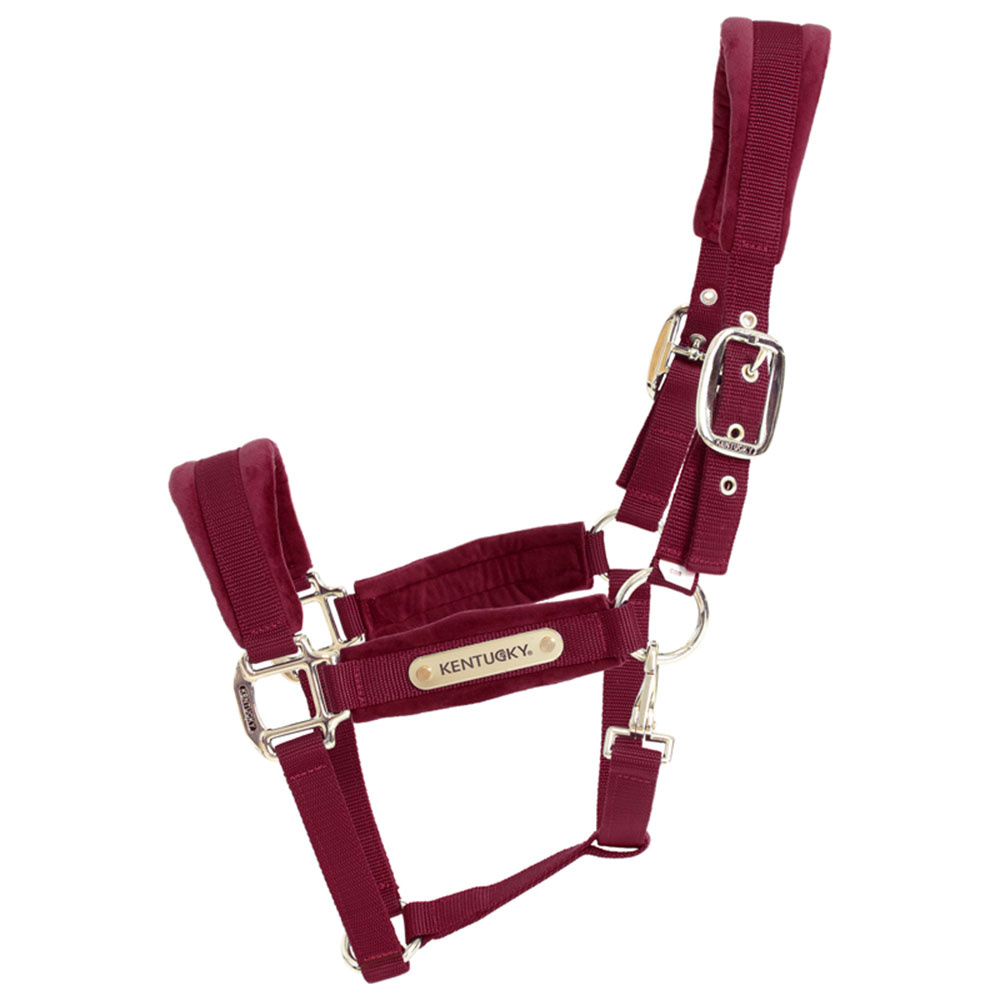 Halfter Velvet Bordeaux
