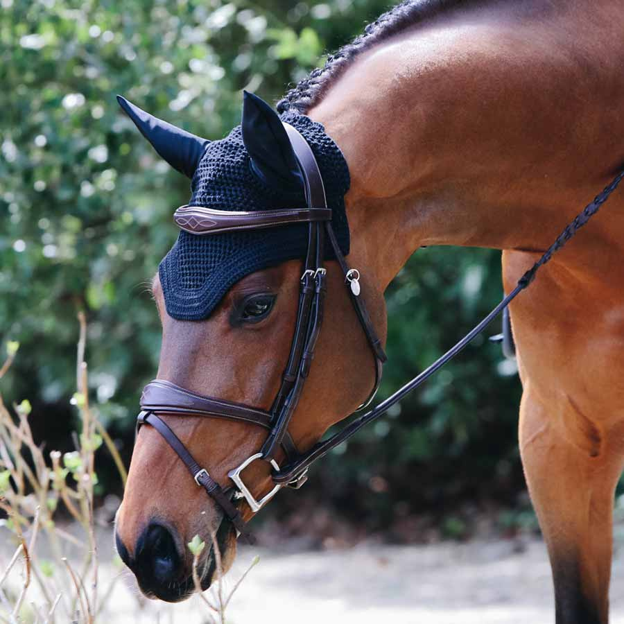 Fliegenhaube Wellington Marineblau