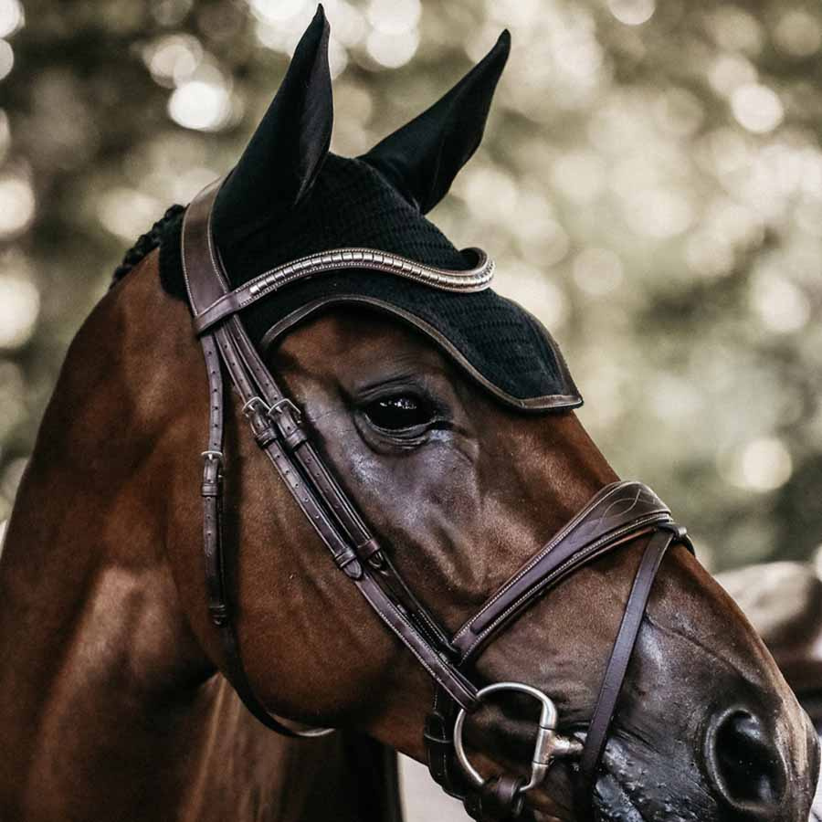 Haube Wellington Leather Schwarz