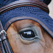 Haube Wellington Leather Soundless Marineblau Haube Wellington Leather Soundless Marineblau
