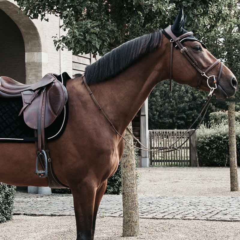Fliegenhaube Wellington Corduroy Schwarz