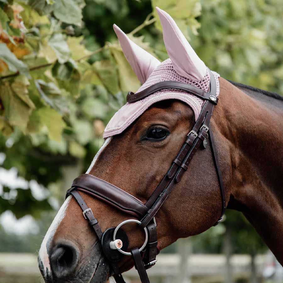 Fliegenhaube Wellington Samt Altrosa