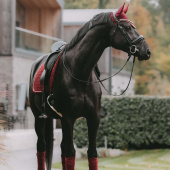 Haube Wellington Velvet Bordeaux Haube Wellington Velvet Bordeaux