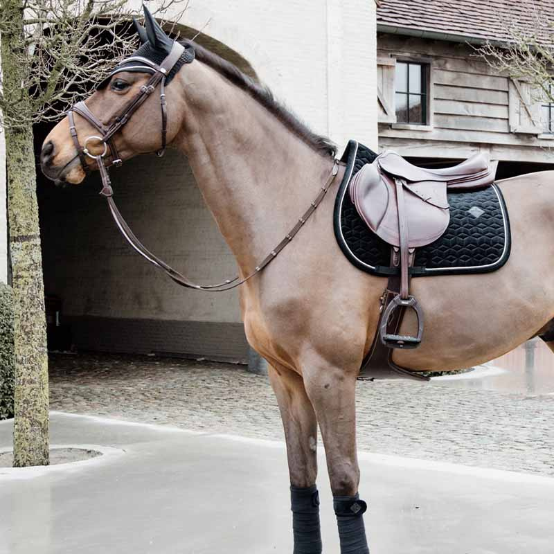 Fliegenhaube Wellington Basic Samt Schwarz