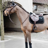 Fliegenhaube Wellington Basic Samt Schwarz Fliegenhaube Wellington Basic Samt Schwarz