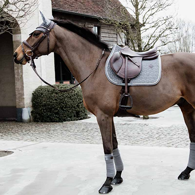 Fliegenhaube Wellington Basic Samt Grau