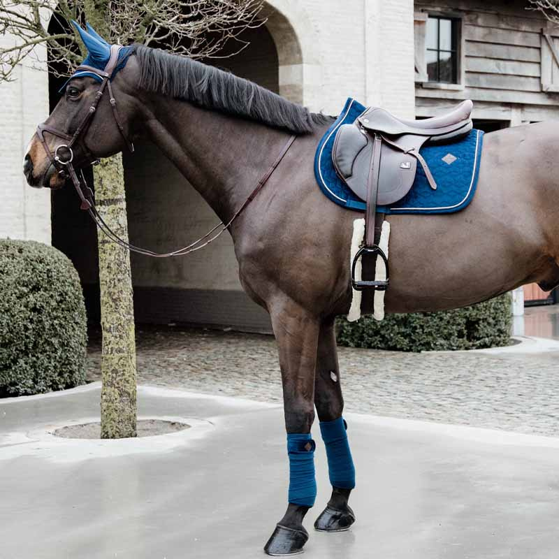 Fliegenhaube Wellington Basic Samt Marineblau