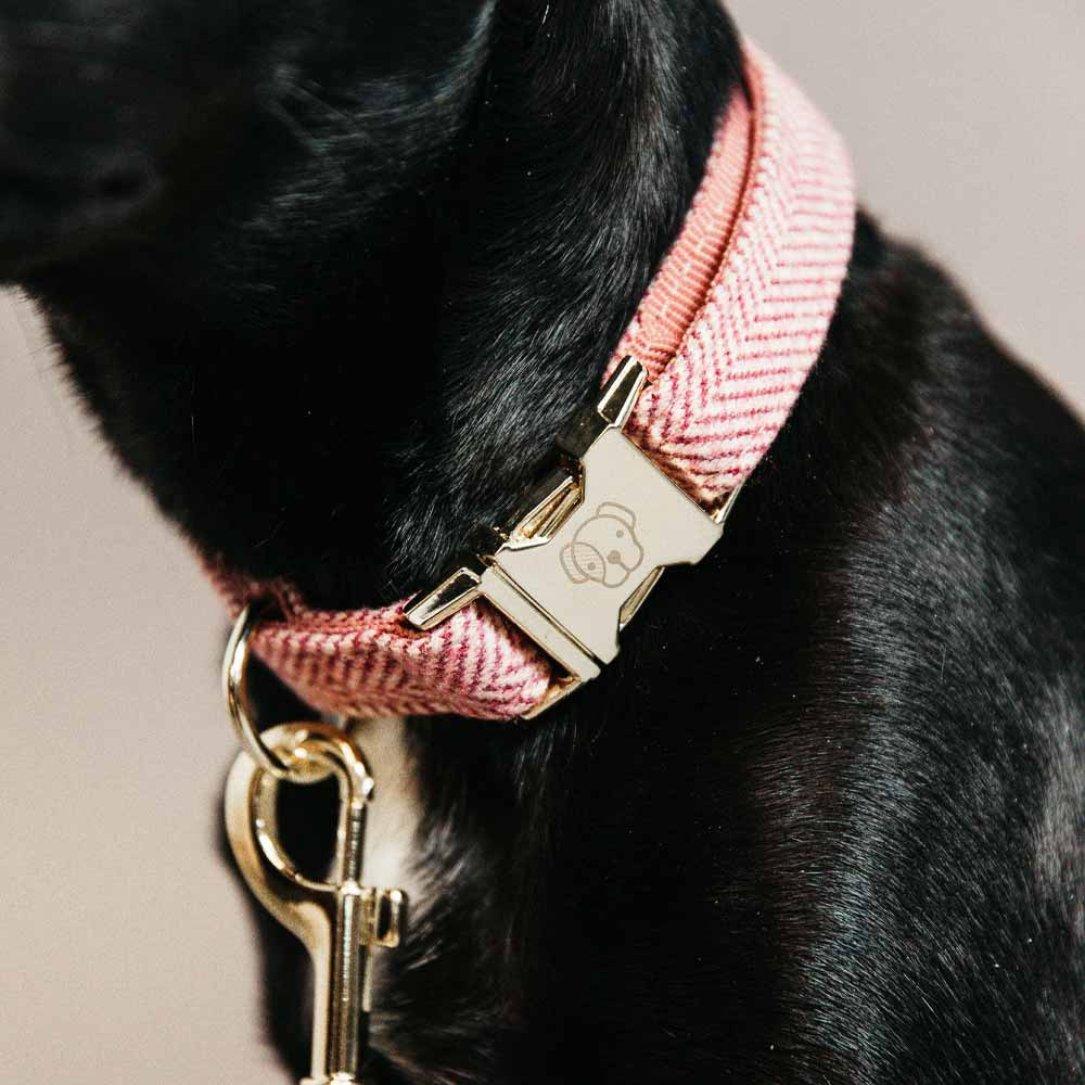Hundehalsband Wolle Grau