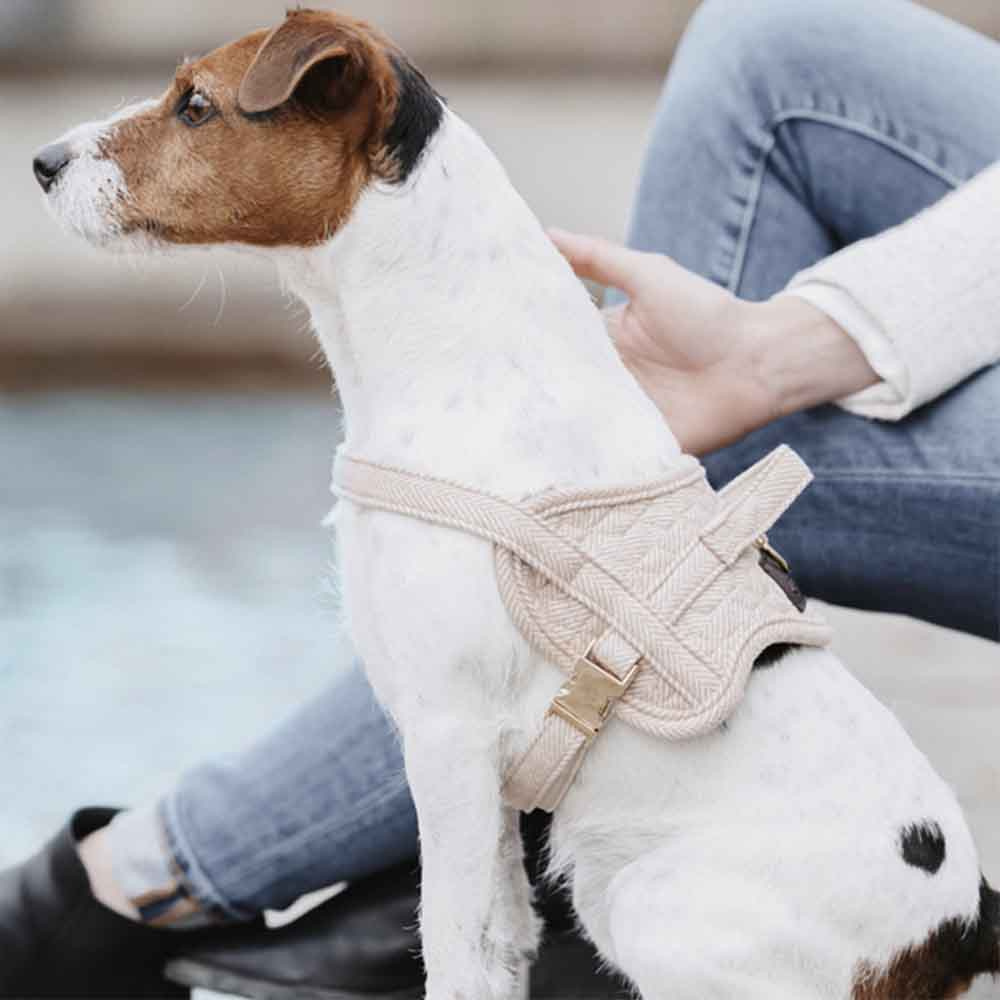 Hundegeschirr Wool Beige