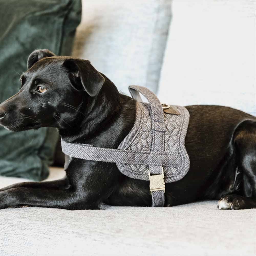 Hundegeschirr Wool Grau