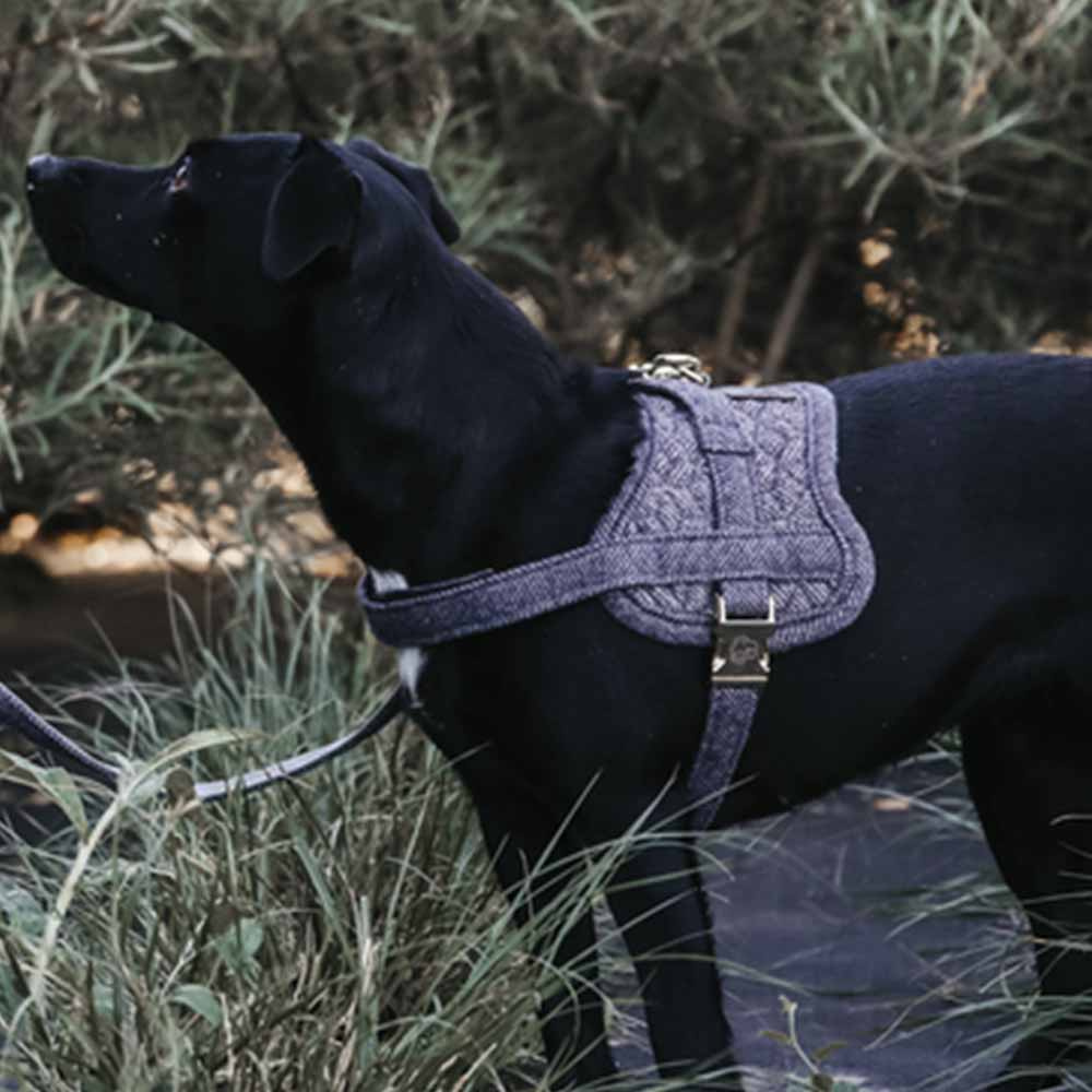 Hundegeschirr Wool Grau