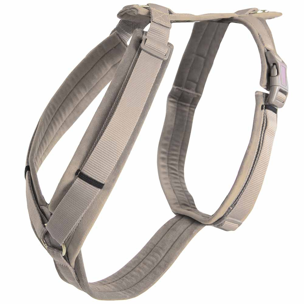 Hundegeschirr Active Velvet Beige