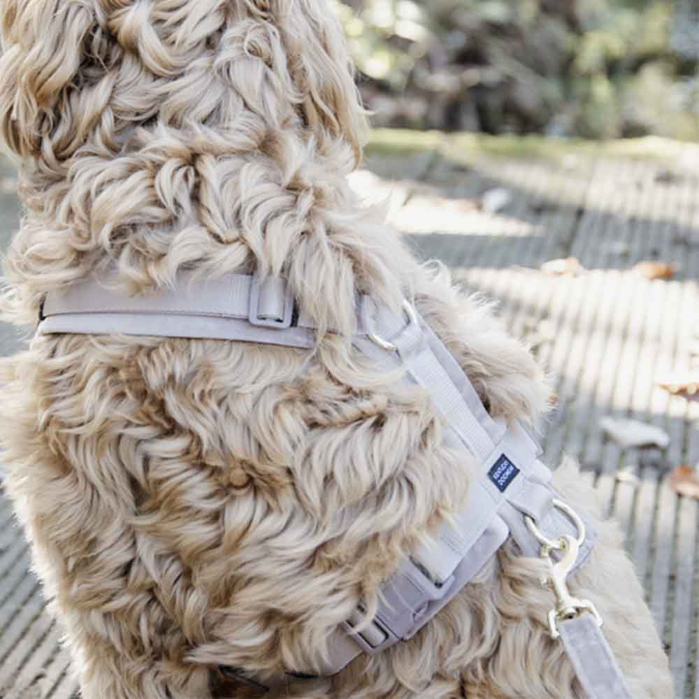 Hundegeschirr Active Velvet Beige