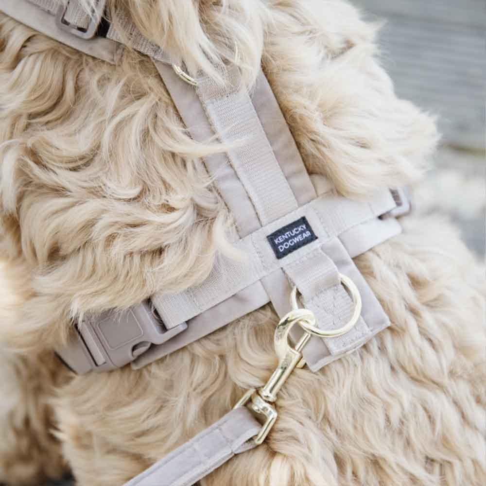 Hundegeschirr Active Velvet Beige
