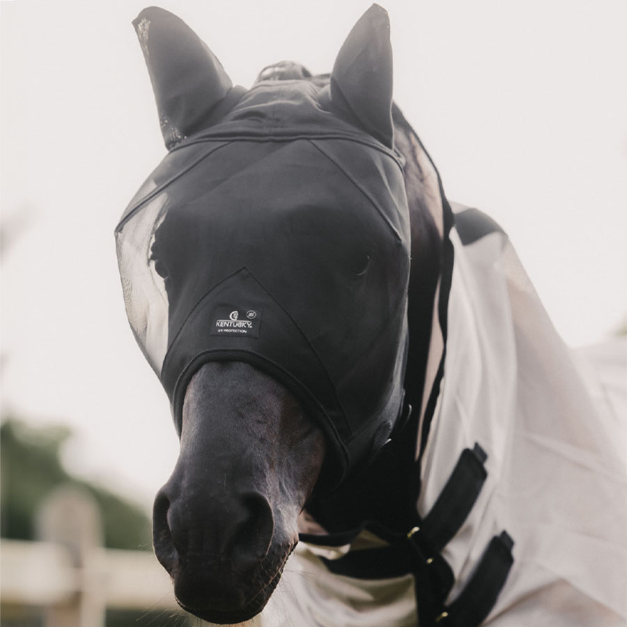Fliegenhaube Classic mit Ohren Schwarz