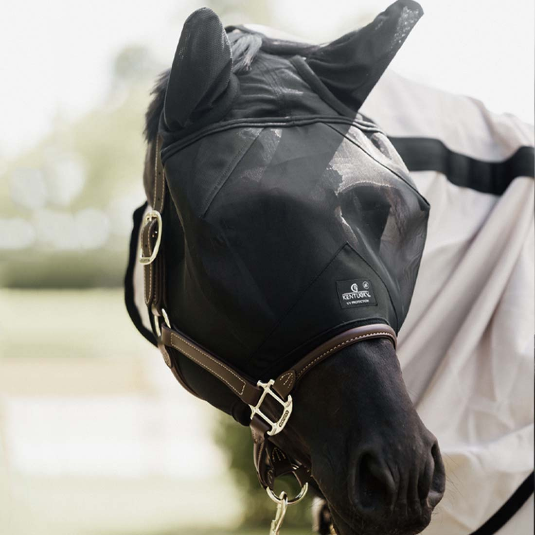 Fliegenhaube Classic mit Ohren Schwarz