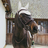 Haube Wellington Plaited Cord Beige Haube Wellington Plaited Cord Beige