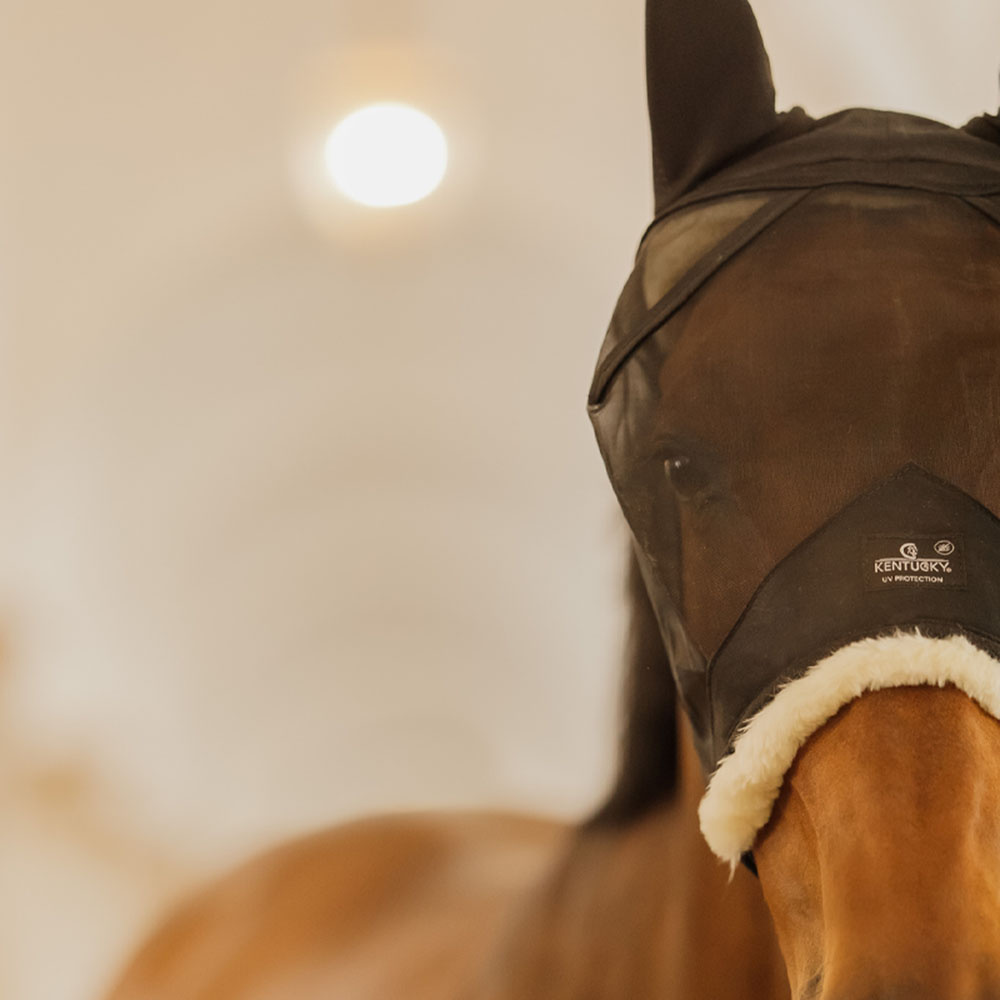 Fliegenhaube mit Ohren Skin Friendly Schwarz