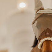 Fliegenhaube mit Ohren Skin Friendly Silber Fliegenhaube mit Ohren Skin Friendly Silber