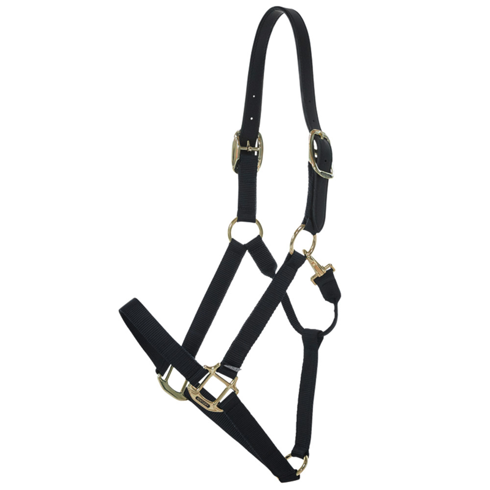 Halfter Breakaway Schwarz