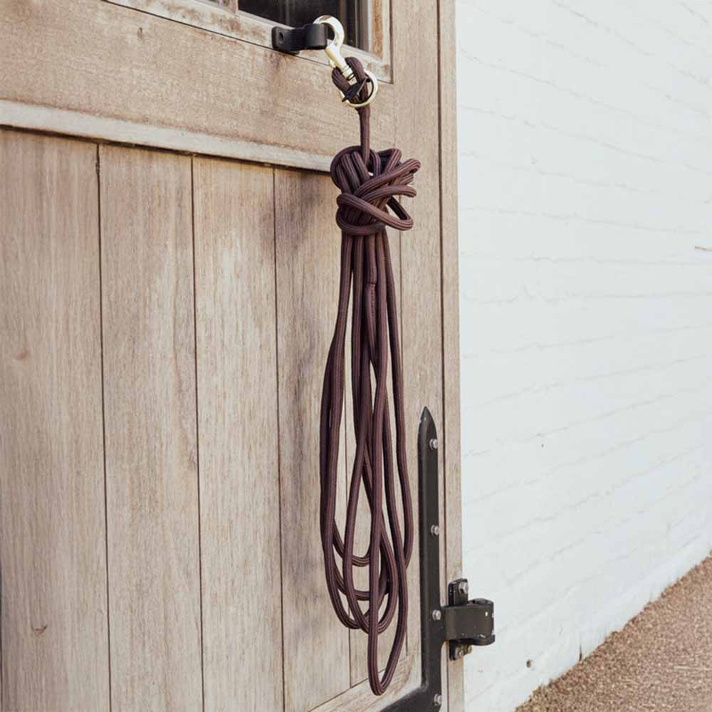 Longierleine Basic Braun 8m