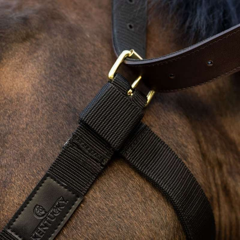 Halfter Heavy Duty Schwarz