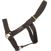 Halfter Heavy Duty Schwarz Halfter Heavy Duty Schwarz