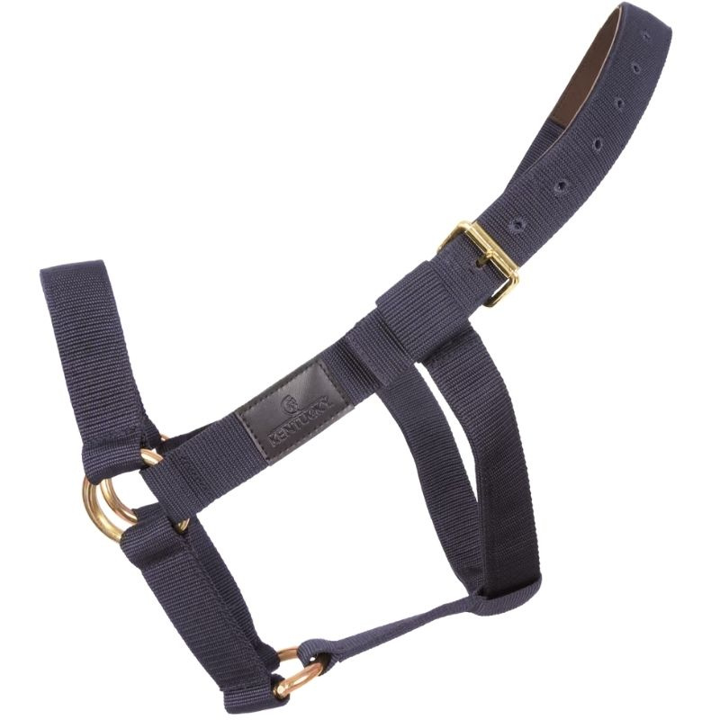 Halfter Heavy Duty Marineblau