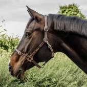 Lederhalfter Artificial Anatomic Flexible Braun Lederhalfter Artificial Anatomic Flexible Braun